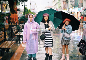 Monsoon Health Guide