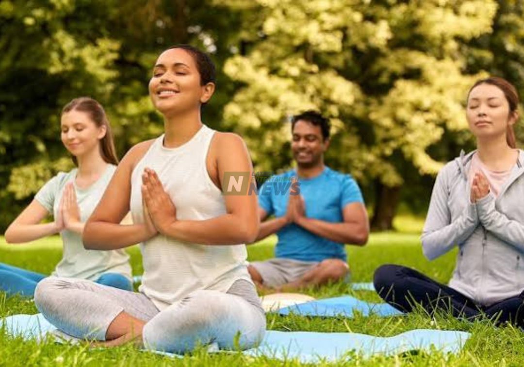 affordable wellness habits