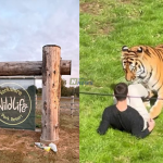 Yorkshire Wildlife Park
