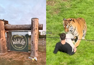 Yorkshire Wildlife Park
