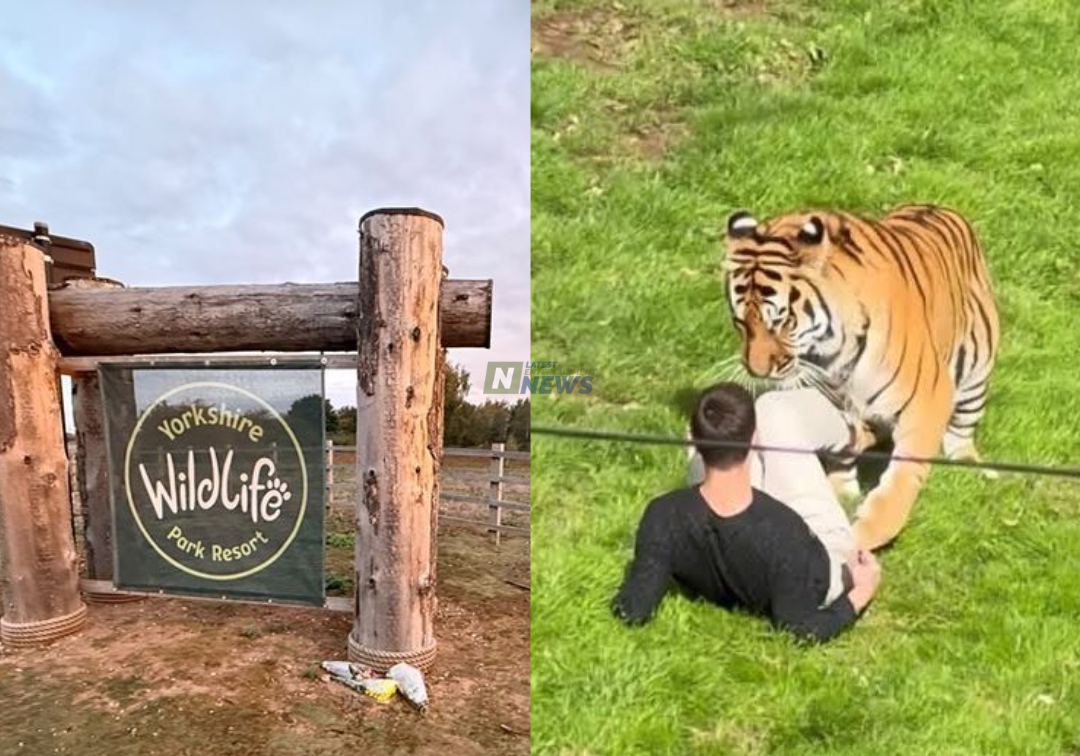 Yorkshire Wildlife Park