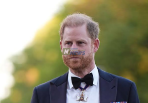 prince harry